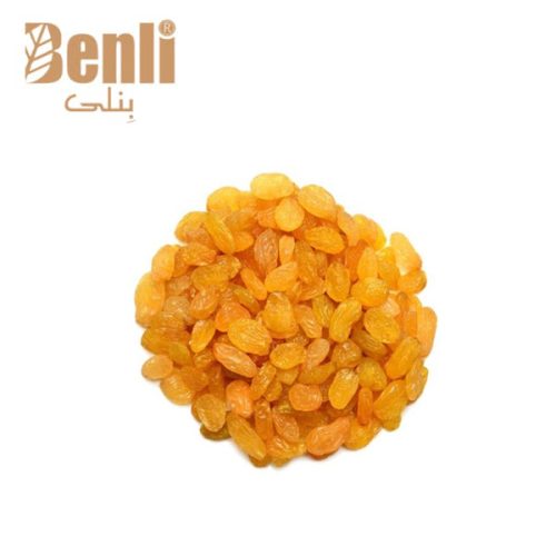 Bonab Golden Raisin Golden Raisin Bonab Golden Bonab Raisin - Benli General Trading Co