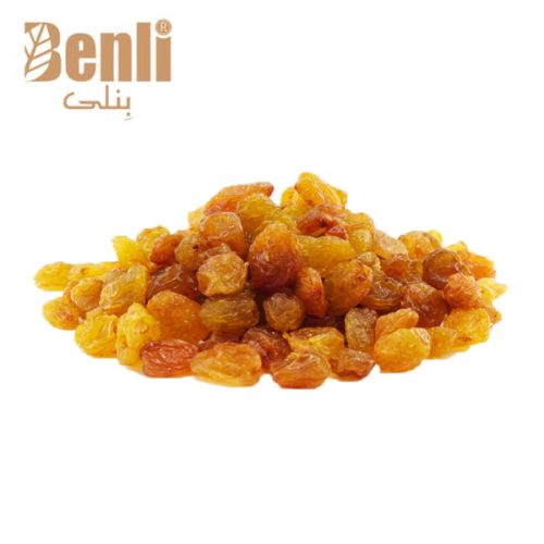 Malayer Golden Raisin - Raisins Golden Malayeri - Benli General Trading Co